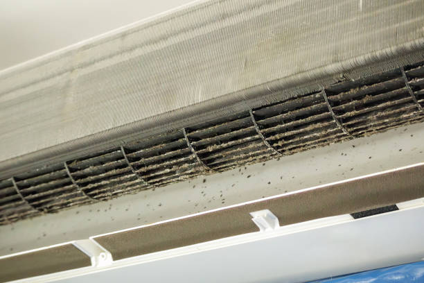 Best Air Duct Cleaning Near Me  in Minersville, PA